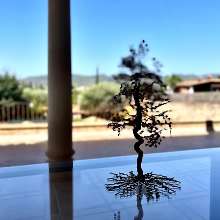 Mirador Del Calasancio 2 *